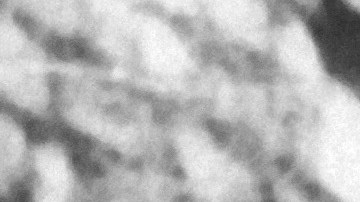 Alemania conmemoró el 70 aniversario de la firma de los llamados Acuerdos de Luxemburgo.