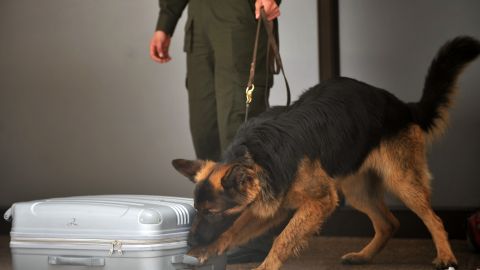 El perro descubrió la cocaína en la silla de ruedas.