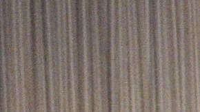 La modelo Dayanara Torres junto a Marc Anthony.