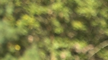 "Rapid Trident" Military Exercises In Western Ukraine