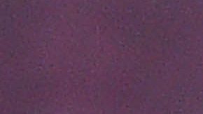 Gerard Piqué y Shakira