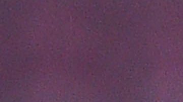 Gerard Piqué y Shakira