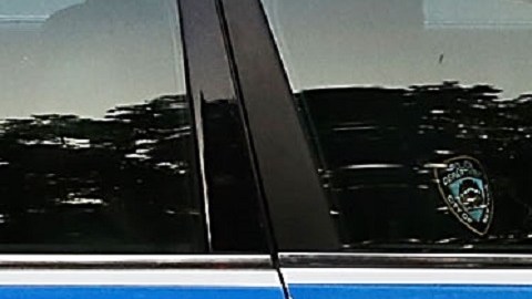 La NYPD detuvo al atacante del McDonald's.
