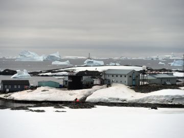Antártida Acoso sexual Abuso sexual