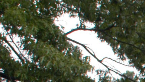 Florida West Palm Beach