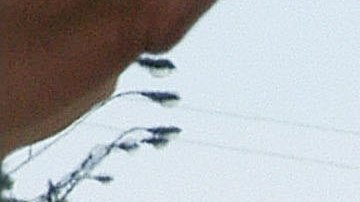 Condado Polk Florida