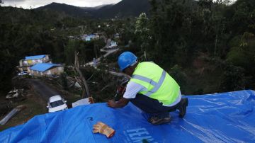 Toldos azules Puerto Rico huracan Maria