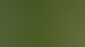 Un raro protocolo dicta que a las abejas reales también se les debe avisar sobre la muerte de la reina o el rey.