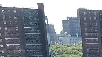 Arsénico NYCHA