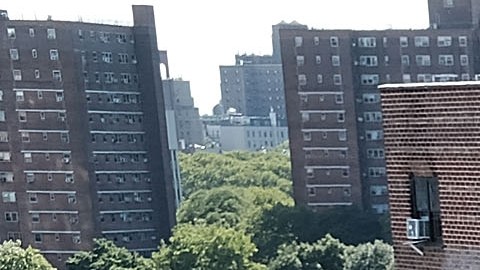 Arsénico NYCHA