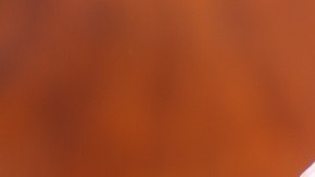 Hamburguesa con queso