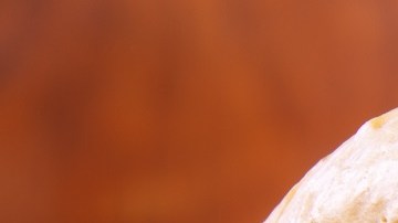 Hamburguesa con queso