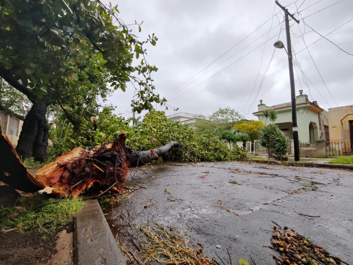 El huracán Ian es de momento categoría 4 y dejó muchos árboles derribados en Cuba.