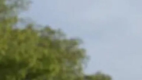 Félix Luciano fue agente de detenciones de ICE.