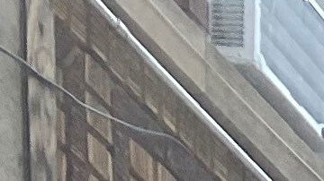 Hay que garantizar el acceso a la vivienda digna.