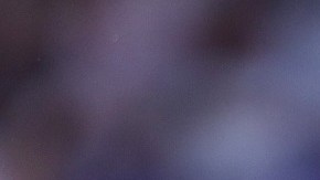 Sevilla FC v RCD Mallorca - La Liga Santander