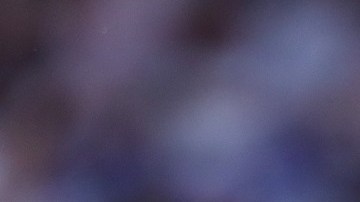 Sevilla FC v RCD Mallorca - La Liga Santander
