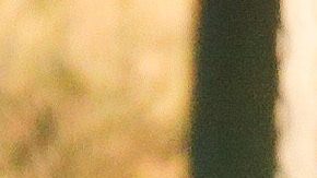 Gerard Piqué y Clara Chía.