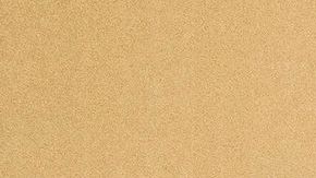 Última foto reina Isabel II