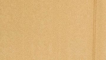 Última foto reina Isabel II