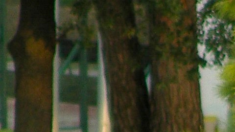 La sonrisa de Shakira ahora viene de sus hijos.