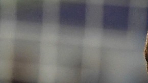 FBL-FRA-LIGUE1-STRASBOURG-PSG