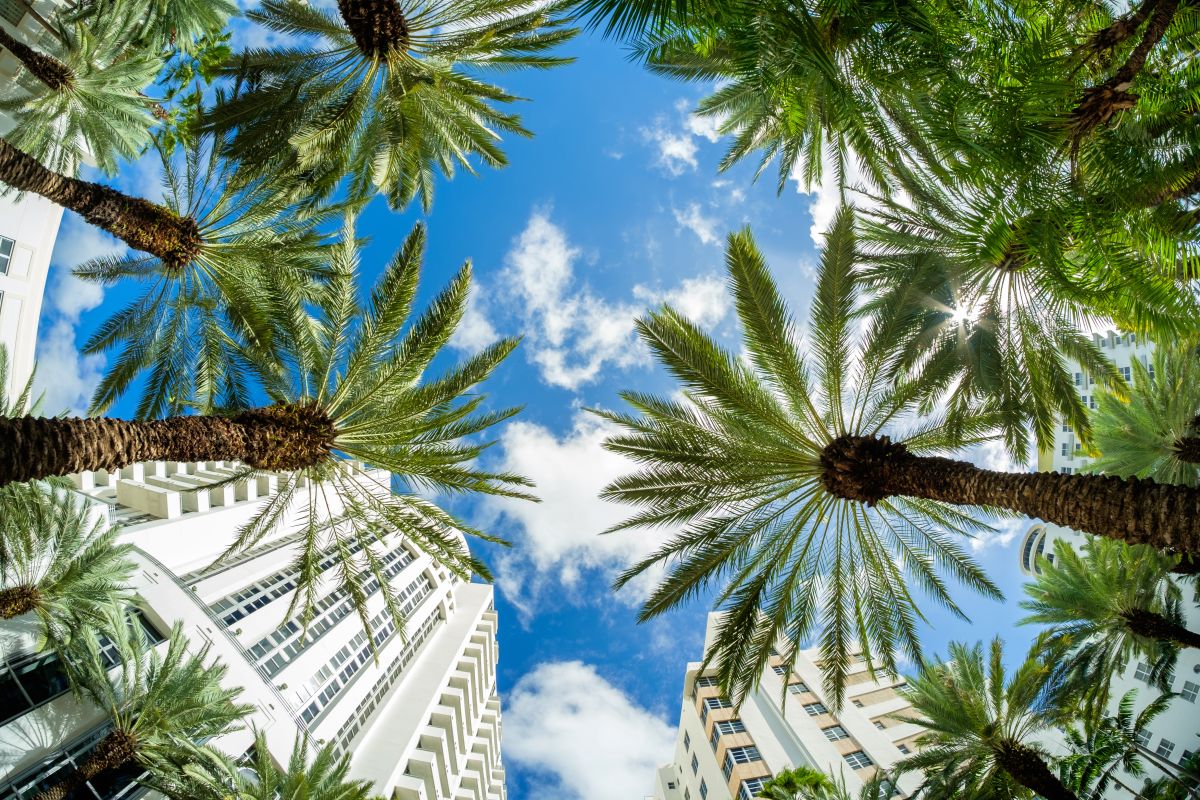 En septiembre, una familia en Miami necesitaría asignar el 85.96% de sus ingresos anuales a los costos de propiedad de la vivienda.