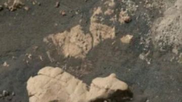 Pozos de extracción de roca de Perseverance donde tomó dos muestras de núcleo en un área conocida como "Wildcat Ridge".