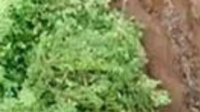 Foto del accidente compartida por el Departamento de Bomberos de Costa Rica.