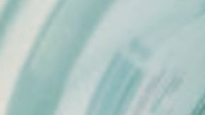 Se desconoce si habían más reptiles que no estaban en la foto.