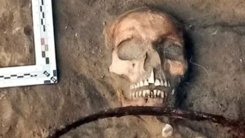 El supuesta vampiro enterrada con una hoz en el cuello.