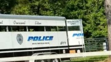 "Elton", el caballo del Departamento de Policía de Wilmington.