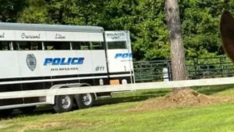 "Elton", el caballo del Departamento de Policía de Wilmington.