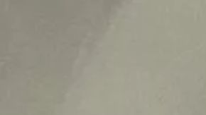 Imagen de la serpiente rata gris escondida dentro del inodoro.