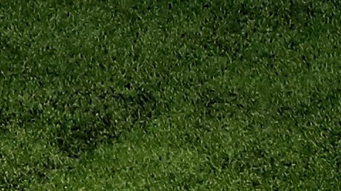 Fundación NFL donará un millón de dólares luego del paso de huracán Ian