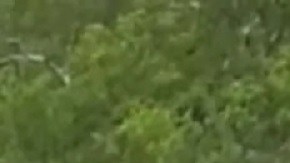 NYPD Queens Asesinato