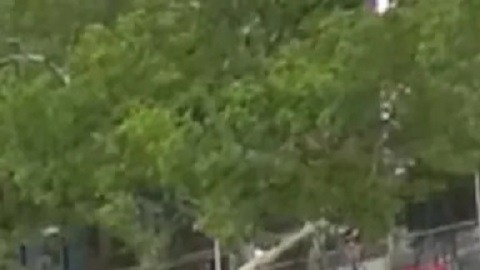 NYPD Queens Asesinato