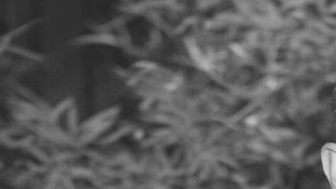 A casi un año de la muerte de Octavio Ocaña, un policía ha sido detenido.