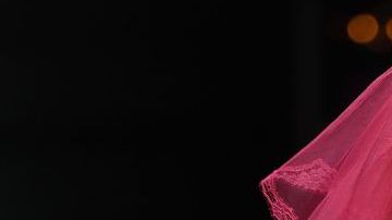 Paris Hilton ofrece $10,000 por el regreso seguro de su chihuahua Diamond Baby.