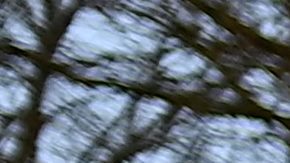 Revelan nuevos detalles de la supuesta brujería de Paul Pogba a Kylian Mbappé