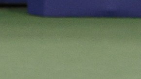 Cabal y Farah celebran la victoria en el US Open.