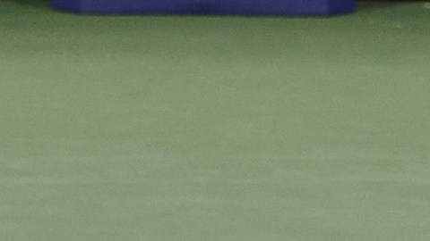 Cabal y Farah celebran la victoria en el US Open.