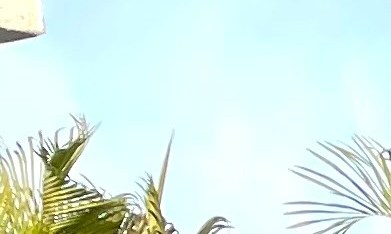 Energía renovable en Puerto Rico