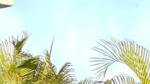 Energía renovable en Puerto Rico