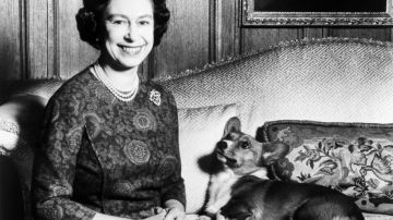 La reina Isabel II y uno de sus perros corgis