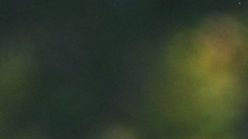 US-FBL-FRIENDLY-GUADALAJARA-GALAXY