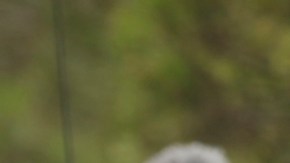 Duodécima etapa de la Vuelta Ciclista a España 2022