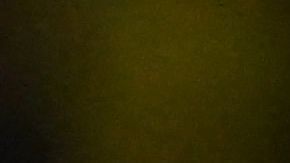 Brasil denuncia nuevo acto de racismos contra una de sus figuras