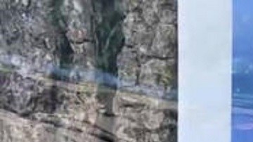 San José California Jacob Villanueva Arrollamiento