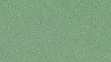 Serena Williams dedicó emotivas palabras a sus padres y su hermana Venus en el US Open